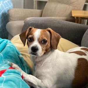 Meet your Posher, Joyce